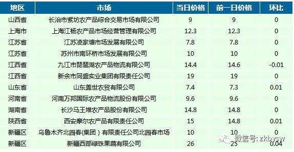 揭秘最新Dodorr地址，十一月一日的独特魅力与探索之旅