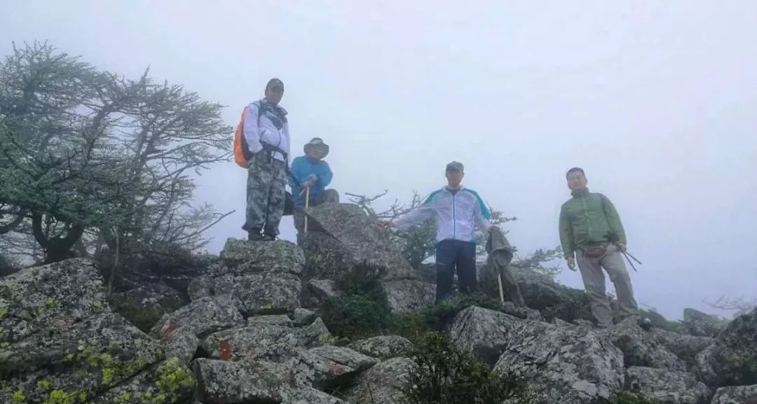 秦岭车祸最新消息，隐秘小巷美食探秘之旅