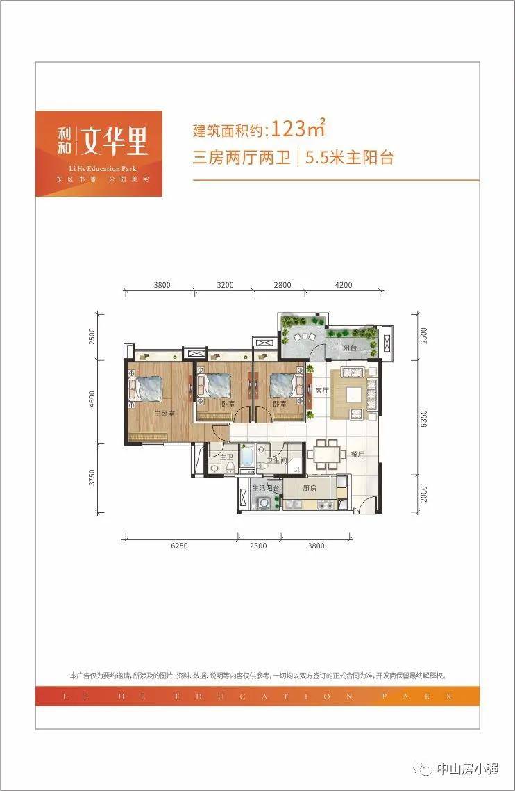 11月4日貂皮最新价格，市场走势分析与购买指南