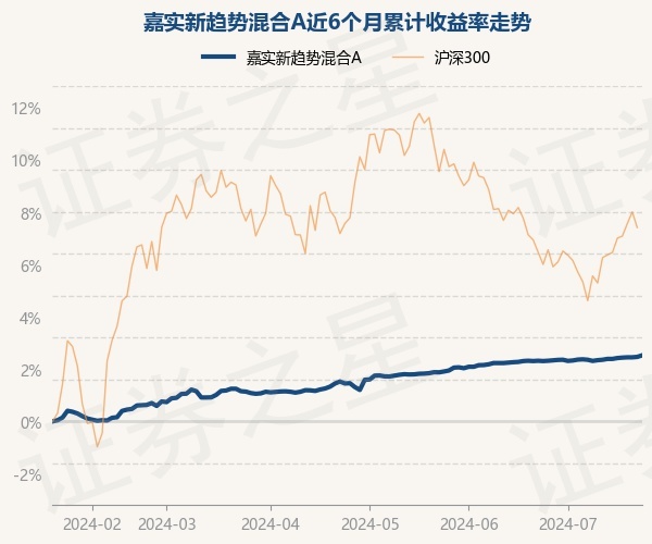 嘉实元和基金最新公告解读，洞悉未来投资方向，2024年11月13日动态报告揭秘未来策略