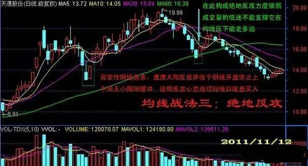 猎枭最新动态，掌握关键步骤，轻松应对挑战——初学者与进阶用户指南（11月版）