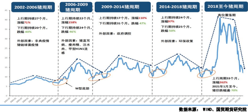 历史上的11月16日最新生猪价走势分析，市场波动、未来展望及最新价格走势