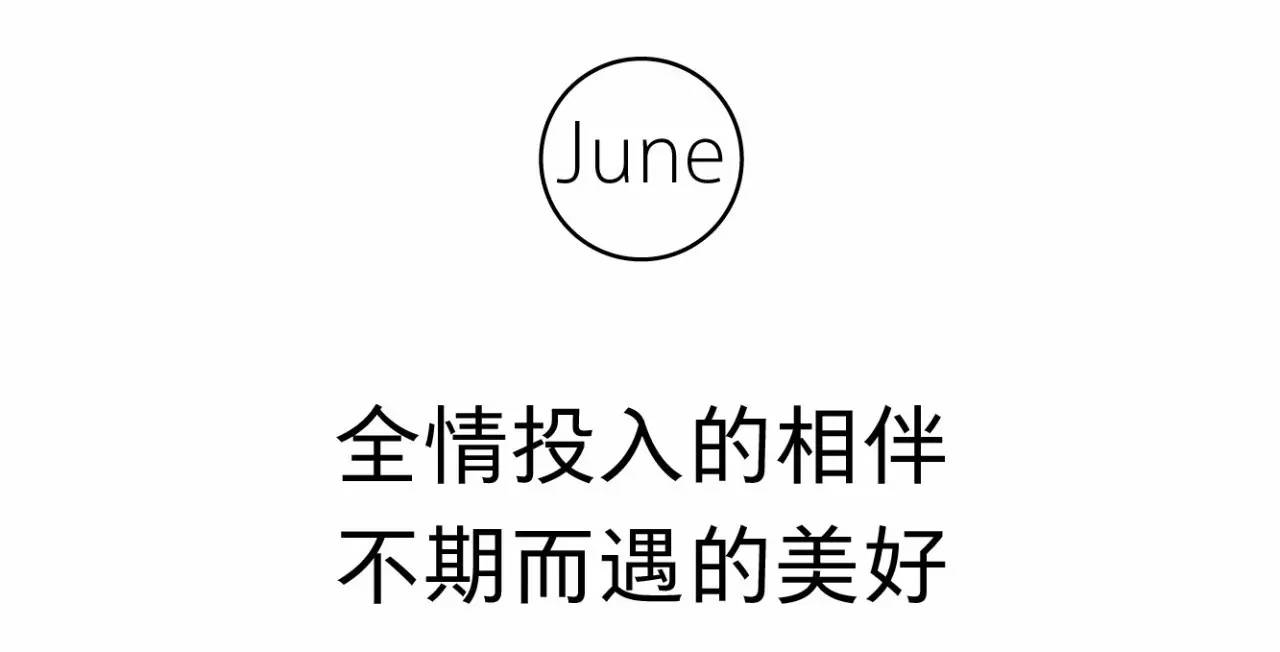 历史上的双茶垸，最新动态与温馨记忆，欢乐时光尽在11月17日