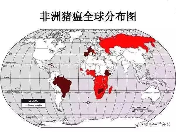 疫情下留学政策新动态，探索自然美景之旅，启程寻找内心宁静与平和的留学之旅（2024年12月最新）