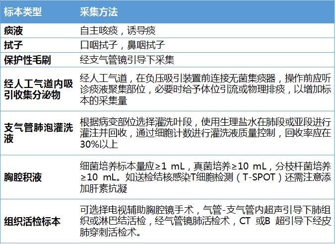 往年11月最新补钠指南解析，关键要点一览