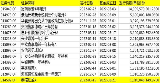 『掌握未来选情脉搏，2024大选预测神器实时更新，智能政治新纪元开启』