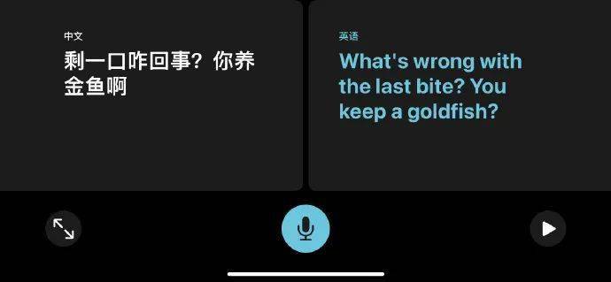 探秘小巷深处的语言宝藏，iOS翻译软件实时体验与奇幻之旅（12月22日）